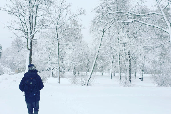 I Came to Sweden for a Winter. Six Years Later, I'm Not Sure I Can Go Home.